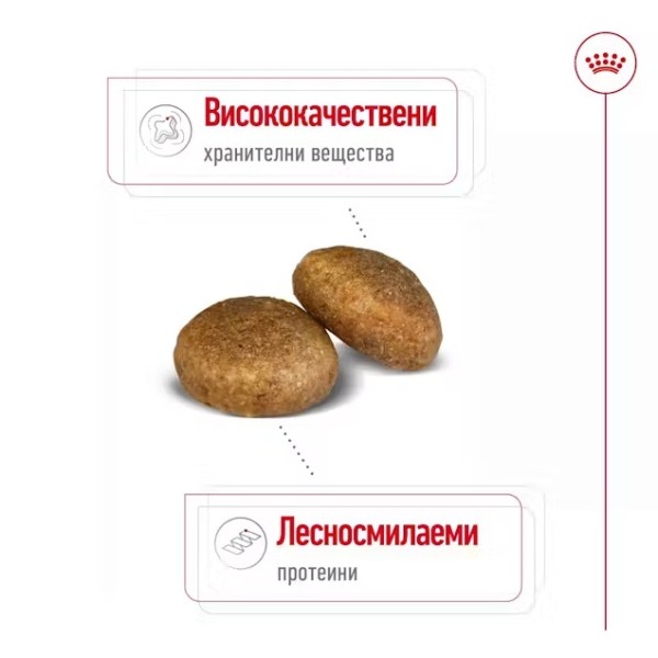 Royal Canin Dog Adult Maxi - Пълноценна суха храна за кучета от едри породи